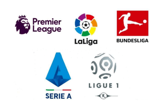 都可能决定 都可能决定